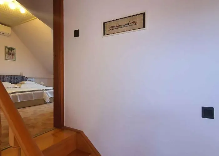 In - Balaton 18987 *